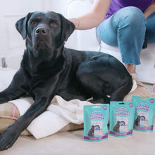 Load image into Gallery viewer, Vamoosh Pet Hair Dissolver